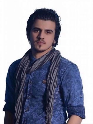 مصطفى الركابي